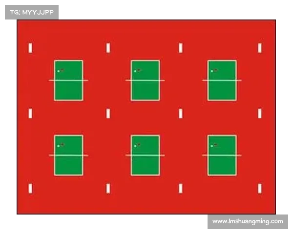 健美奥赛级别有哪些健美赛事分级制度全面解析